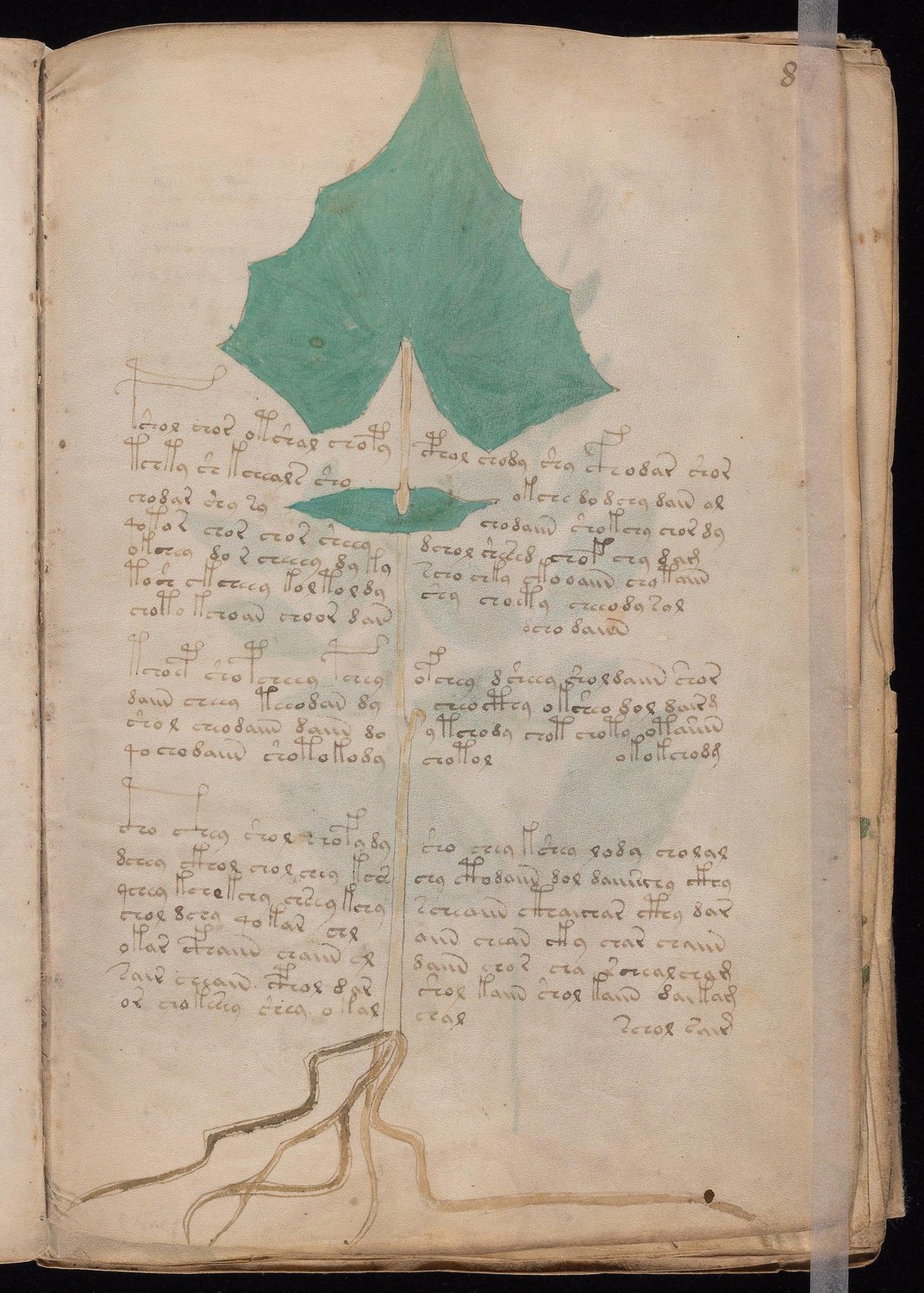 Herbal Page 15